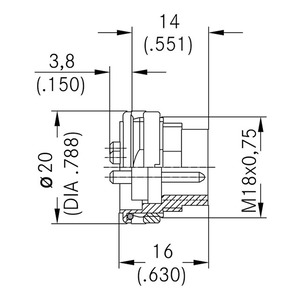 C091 31T006 100 2 Image
